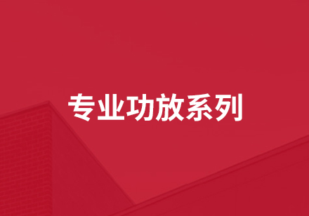 專(zhuān)業(yè)功放系列